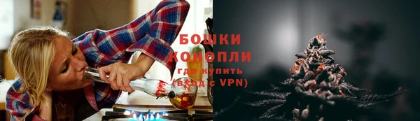 тгк Краснослободск